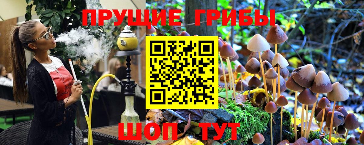 купить  цена  Вход с VPN  Мелеуз  Галлюциногенные грибы GOLDEN TEACHER  Галлюциногенные грибы прущие грибы 