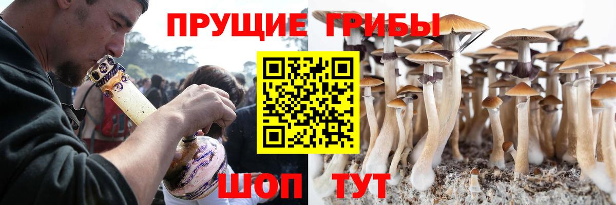 Псилоцибиновые грибы Psilocybe Мелеуз